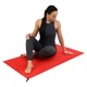 Спортивное полотенце из микрофибры в чехле 4Monster Case Sports Towel ETD-120 размер 60х120см Red - изображение 9