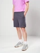Шорты хлопковые для тренировок короткие мужские Puma Train All Day Foundations 52590999 M Galactic Gray (4069162175373) - изображение 1