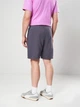 Шорты хлопковые для тренировок короткие мужские Puma Train All Day Foundations 52590999 M Galactic Gray (4069162175373) - изображение 2