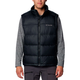 Безрукавка Columbia PIKE LAKE II VEST M Чорний 2050951012 - зображення 1
