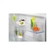 Холодильник Electrolux ENT6NE18S ELECTROLUX ENT6NE18S 954004 - изображение 5