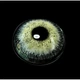 Серые контактные линзы - Айс софт грей 2шт. от ELITE Lens - изображение 8