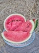 Насіння кавуна Рябий (15 шт) - изображение 3