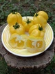 Насіння томатів Перець білий (25шт) - изображение 5