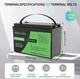 Аккумулятор Datouboss LiFePO4 12.8V 100Ah 1280Wh с BMS (литий-железо-фосфатный) - изображение 2