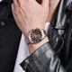 Pagani Design PD-1712 Silver-Rose Gold-Brown - изображение 5