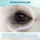 Капли для ухода за глазами ProbioDay спрей для собак и котов лосьйон для гигиены глаз животных с пробиотиками 50 мл 000082 - изображение 7