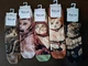 Шкарпетки жіночі з малюнками кошенят. У наборі з 5 шт. Coalo socks. Розмір 36-41 - зображення 2