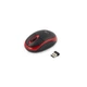 Мишка Esperanza Titanum TM116R - зображення 1