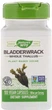 Ламінарія йод Nature's Way Bladderwrack 580 мг 100 капсул ARE-576361 - зображення 1