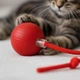 Игрушка шарик для кошек и собак мячик с хвостиком 6*40см красный - изображение 4