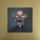 Вінілова платівка Kanye West - My Beautiful Dark Twisted Fantasy (Vinyl, LP, Album, Limited Edition, Reissue, Stereo) - зображення 6