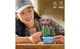 Конструктор Lego Botanicals Цвітіння кактуса, 482 деталі 11509 - зображення 2