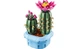 Конструктор Lego Botanicals Цвітіння кактуса, 482 деталі 11509 - зображення 7