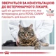 Сухой корм для взрослых кошек Royal Canin Veterinary Urinary S/O Moderate Calorie Cat 400 г (3182550764513) (3954004) - изображение 9