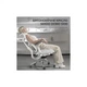 Офісне крісло Sihoo DORO S100 Mesh White (S100-M302) Sihoo S100-M302 970019 - зображення 7