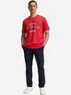 Футболка хлопковая длинная мужская Tom Tailor 1037735-12830 M Samba Red с принтом (4069402342787) - изображение 3