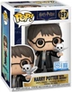 Фигурка Гарри Поттер с Хедвиг — Funko Pop! MOVIES: HARRY POTTER — HARRY WITH HEDWIG #197 - изображение 1