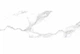 Плитка Ceramica Deseo Carrara Bianco 30x90см - изображение 2
