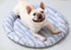 Охлаждающий коврик для собак GEL Pet Cooling Mat Round Purple, 70х70 см - изображение 1