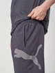 Спортивные шорты для тренировок мужские Puma Train All Day Big Cat 52672399 M Galactic Gray-White Cat (4069162317193) - изображение 4