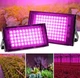 Светодиодная LED фитолампа 200 Вт питание 220 В - изображение 3