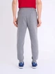 Спортивные штаны мужские U.S. Polo Assn 11A920-8J00A(Campus Heather Gray) L Серые (786662145487) - изображение 2