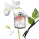 Парфюмированная вода для женщин Lancome La Vie Est Belle eau de parfum 4 ml. - изображение 2