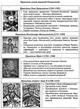 Історія України. Таблиці та схеми. Т.Земерова. ПіП - изображение 7