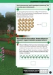 Minecraft.Математика. Офіційний посібник. 5-6 років. Ден Ліпскомб, Бред Томпсон. АртБукс - зображення 7
