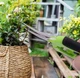 Садовые ножницы секатор для обрезки сада - изображение 4