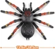 Інтерактивна іграшка Zuru Robo Alive Giant Tarantula великий павук Тарантул зі слизом - изображение 6
