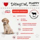 Влажный корм для щенков Безглютеновый Паштет из Говядины Disugual Puppy MonoProtein 94% Beef 400 г - изображение 2