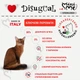 Вологий корм для стерилізованих котів Беззерновий Паштет з Курки Disugual Mini Me Sterilized Cat 96% Protein Chicken 85 г - зображення 2