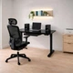 Стіл Mealux PowerDesk Glass Black з електрорегулюванням висоти (арт. EVO-201 Glass/Black) - изображение 2