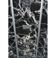 Душовий бокс TKF TKF100/1 100×100×215 см, кутовий, хромовий профіль, тоноване скло, задня стінка Чорна Павутина, низький піддон - изображение 4