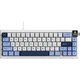 Клавиатура Ajazz AK650 Sea Salt Switch White/Blue (AK650-SS-BWB) [156876] - изображение 1