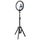 Набор для блогера RTAKO ZJ-ZBT01 Live Streaming Stand with Ring Light and Floor Tripod Black (6942063215400) - изображение 3