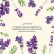Парфумований гель для рук і тіла з козячим молоком Beekman 1802 Lavender, 370 мл - изображение 2