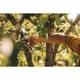 Секатор Fiskars Plus™ P751 Bypass до 22 мм, metal (1057172) - изображение 4