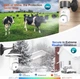 Камера-Лампочка WiFi 2K, 360° AI Детекция Движения, Цветное Ночное Бачение, 2-сторонняя связь, 2.4ГГц (2 шт) - изображение 3