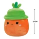 М'яка іграшка Squishmallows - Морквина Кароліна в капелюсі (13 cm) Squishmallows (287085) - изображение 2