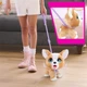 Інтерактивна іграшка FURREAL серії "Poop-A-Lots" – КОРГІ - изображение 4