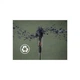 Пылесос Electrolux EP71B14WET ELECTROLUX EP71B14WET 964229 - изображение 10