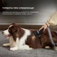 Пилосос Dreame Z30 (VZV17A) Dreame VZV17A 965100 - зображення 2
