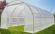 Садова теплиця парник 24 м² (8х3х2 м) армована плівка UV-4 оцинкований каркас Прозора - зображення 5