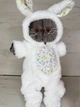 Мягкая игрушка Basik&Co Кот Басик в меховом комбинезоне 35 см - изображение 1