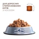 Сухий корм для кішок Club 4 Paws Преміум Sterilised з лососем 900 г (4820269144804) - зображення 5