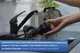 Шнековий соковитискач з безфільтровою технологією Zelmer ZJP3900 - зображення 8