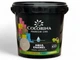 Акрилова фарба без запаху Colorina AQUA ENAMEL 2 л латте - зображення 2